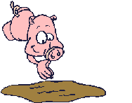 Gifs Animés cochon 115