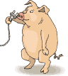 Gifs Animés cochon 147
