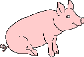 Gifs Animés cochon 189