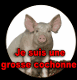 EMOTICON cochon 37