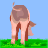 Gifs Animés cochon 61