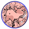 Gifs Animés cochon 66