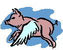 Gifs Animés cochon 73