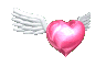 Gifs Animés coeur avec ailes 3