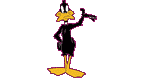 Gifs Animés daffy duck 2