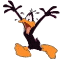 Gifs Animés daffy duck 5