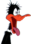 Gifs Animés daffy duck 6