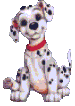Gifs Animés dalmatien 14