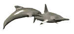 Gifs Animés daufins 104