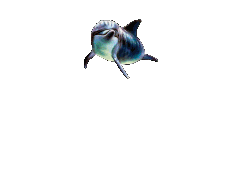 Gifs Animés daufins 87