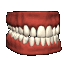 Gifs Animés dentiers 5