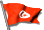 Gifs Animés drapeau de la tunisie 12