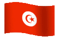 Gifs Animés drapeau de la tunisie 14