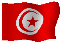 Gifs Animés drapeau de la tunisie 21