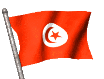 Gifs Animés drapeau de la tunisie 22