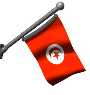 Gifs Animés drapeau de la tunisie 23