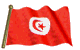 Gifs Animés drapeau de la tunisie 6