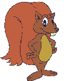 Gifs Animés ecureuil 28
