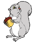 Gifs Animés ecureuil 29