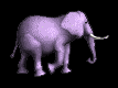 Gifs Animés elephants 108