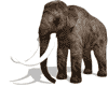 Gifs Animés elephants 114