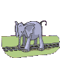 Gifs Animés elephants 116