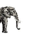 Gifs Animés elephants 221
