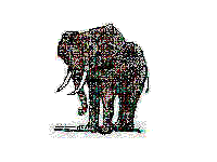 Gifs Animés elephants 282
