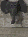 Gifs Animés elephants 292