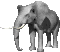Gifs Animés elephants 395