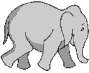 Gifs Animés elephants 76