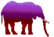 Gifs Animés elephants 87