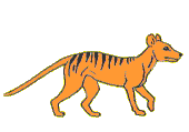 Gifs Animés felins 77