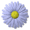 Gifs Animés fleur 169