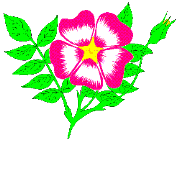 Gifs Animés fleur 192