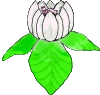 Gifs Animés fleur 194