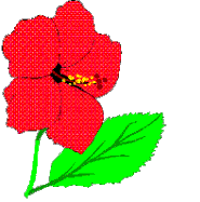 Gifs Animés fleur 206