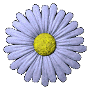 Gifs Animés fleur 230