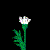 EMOTICON fleur 33