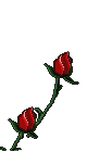 Gifs Animés fleur 7