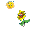 Gifs Animés fleures 5