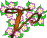 Gifs Animés fleurs alphabet 22