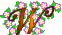 Gifs Animés fleurs alphabet 23