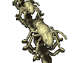 Gifs Animés fourmies 19