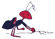 Gifs Animés fourmies 48