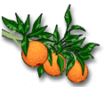 Gifs Animés fruits 96