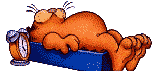 Gifs Animés garfield 57