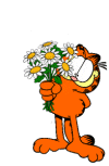 Gifs Animés garfield 69
