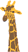 Gifs Animés girafes 6