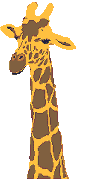 Gifs Animés girafes 6